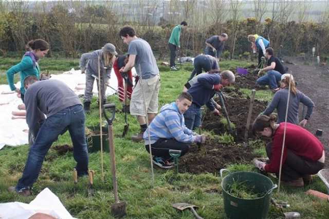 Il �WwooFing": lavoro gratis nei campi in cambio di vitto e alloggio in fattoria